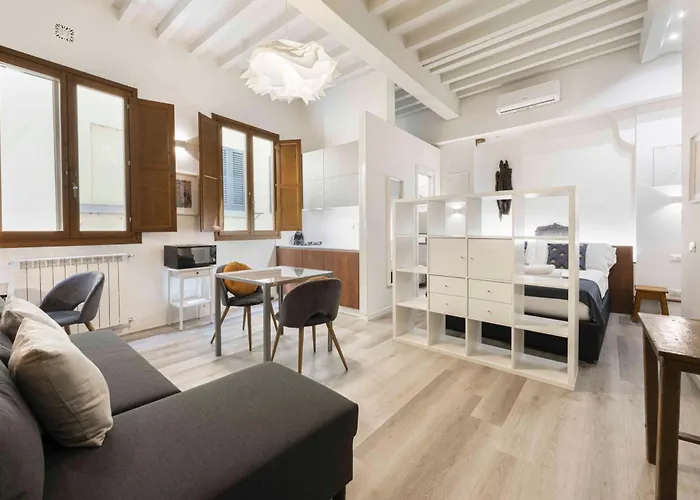 Apartment Deluxe Pitti By Mmega
